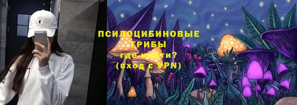 СК Абдулино