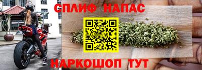 jwh Ставрополь
