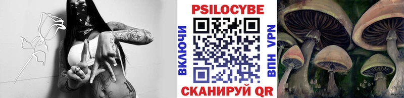 Галлюциногенные грибы мухоморы где купить наркоту Фрязино