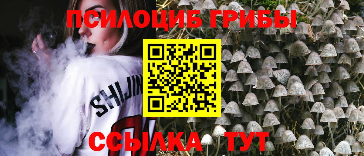 Псилоцибиновые грибы Cubensis Фрязино