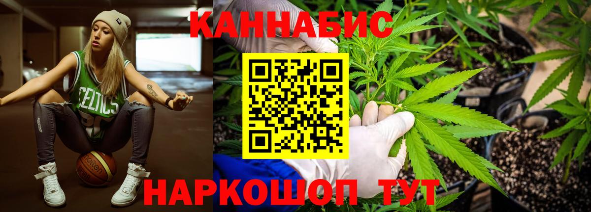Каннабис Bruce Banner  Каннабис семена  МАРИХУАНА SATIVA & INDICA  Вход с VPN  Конопля планчик  Фрязино 